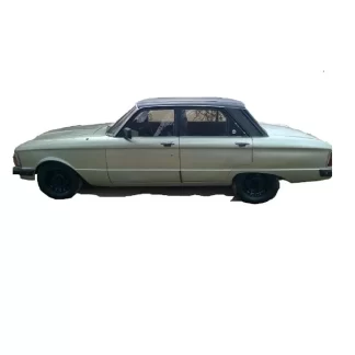 falcon